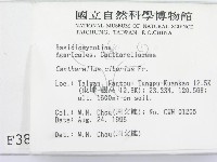 登錄號:F0003815藏品圖，第2張