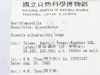 登錄號:F0003817藏品圖，第2張