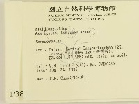 登錄號:F0003818藏品圖，第2張