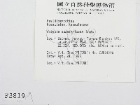 登錄號:F0003819藏品圖，第2張