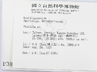 登錄號:F0003821藏品圖，第2張