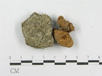 登錄號:F0003821藏品圖，第3張