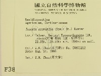 登錄號:F0003822藏品圖，第2張