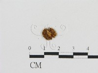 登錄號:F0003822藏品圖，第3張