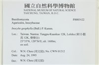 登錄號:F0003822藏品圖，第4張