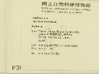 登錄號:F0003823藏品圖，第2張