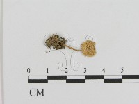 登錄號:F0003823藏品圖，第1張