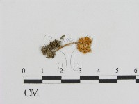 登錄號:F0003823藏品圖，第3張