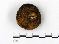 登錄號:F0003825藏品圖，第3張