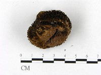 登錄號:F0003825藏品圖，第4張