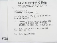 登錄號:F0003827藏品圖，第2張