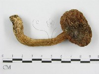 登錄號:F0003827藏品圖，第1張