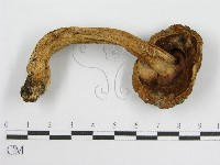 登錄號:F0003827藏品圖，第3張