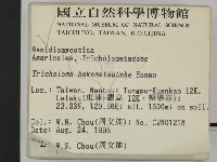 登錄號:F0003828藏品圖，第2張