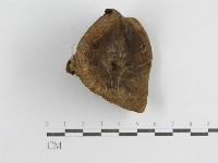 登錄號:F0003829藏品圖，第1張