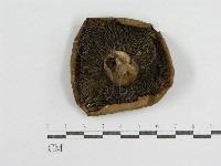 登錄號:F0003829藏品圖，第3張