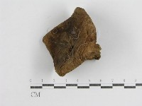 登錄號:F0003829藏品圖，第4張