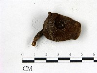 登錄號:F0003830藏品圖，第1張