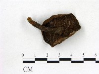 登錄號:F0003830藏品圖，第3張