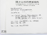 登錄號:F0003831藏品圖，第2張