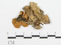 登錄號:F0003831藏品圖，第1張