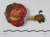 登錄號:F0003832藏品圖，第3張