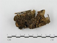 登錄號:F0003834藏品圖，第4張