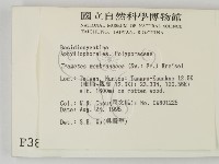 登錄號:F0003835藏品圖，第2張