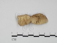 登錄號:F0003835藏品圖，第3張