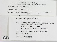 登錄號:F0003836藏品圖，第2張