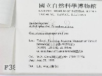 登錄號:F0003836藏品圖，第3張