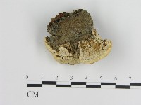 登錄號:F0003836藏品圖，第4張