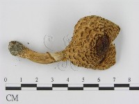 登錄號:F0003838藏品圖，第3張