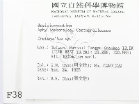 喇叭菌屬藏品圖，第2張