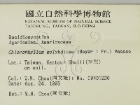 登錄號:F0003840藏品圖，第2張