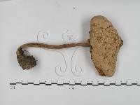 登錄號:F0003840藏品圖，第1張