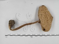 登錄號:F0003840藏品圖，第3張