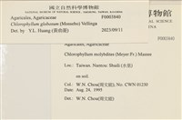 登錄號:F0003840藏品圖，第4張