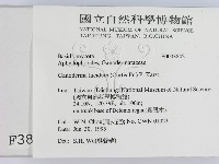 登錄號:F0003842藏品圖，第2張