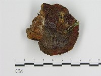 登錄號:F0003842藏品圖，第1張