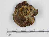 登錄號:F0003842藏品圖，第3張