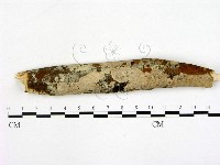 登錄號:F0003843藏品圖，第1張