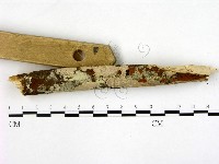 登錄號:F0003843藏品圖，第3張