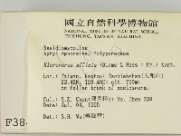 相鄰小孔菌藏品圖，第2張