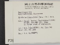 登錄號:F0003845藏品圖，第2張