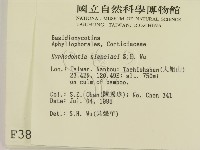登錄號:F0003846藏品圖，第2張