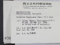 登錄號:F0003847藏品圖，第2張