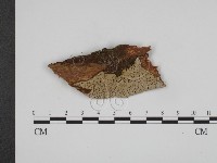 登錄號:F0003847藏品圖，第1張