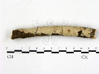 登錄號:F0003850藏品圖，第1張