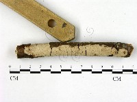 登錄號:F0003850藏品圖，第3張